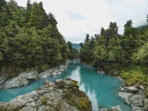 Green trees surrounding a crystal blue river in Aotearoa New Zealand