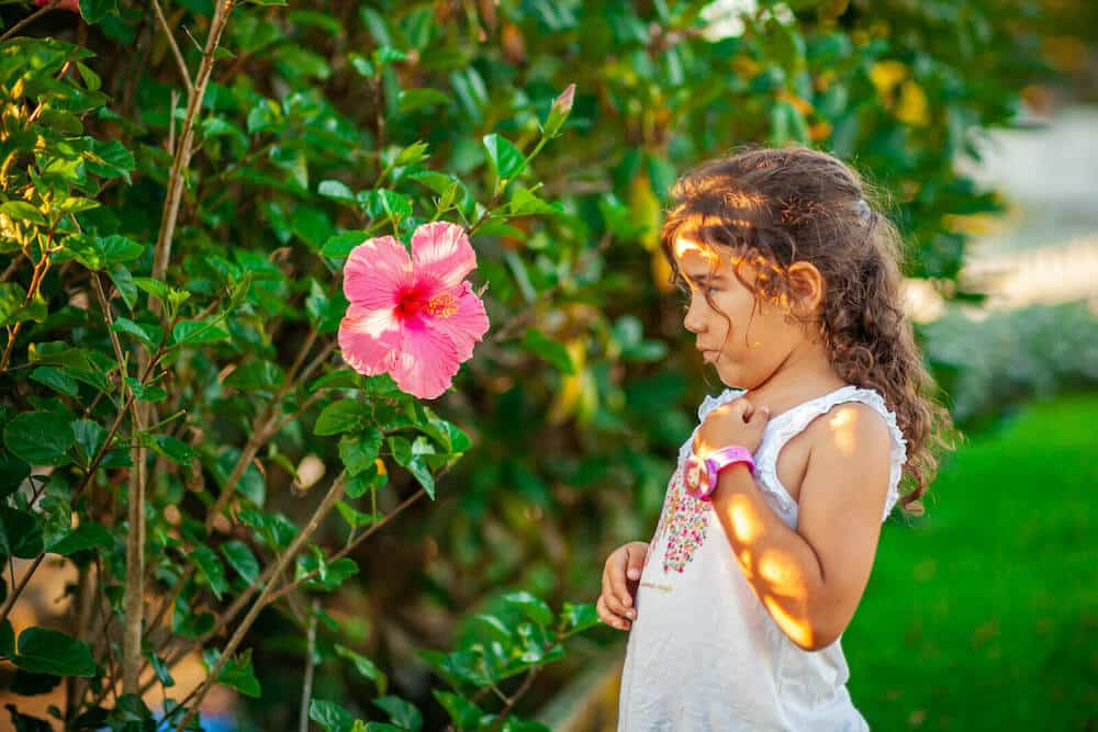 A young girl looking at a pink flower
